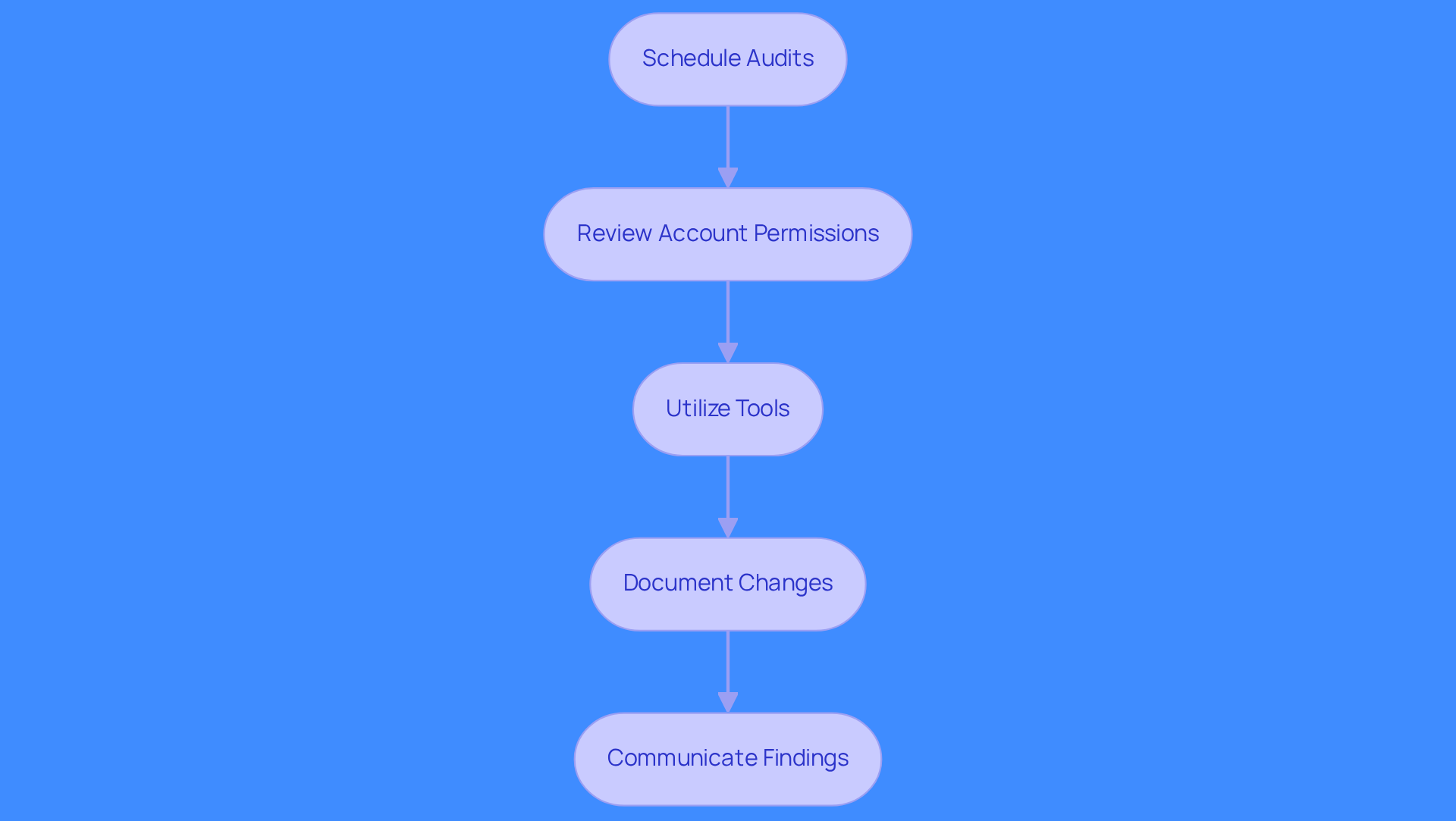 Each box represents a step in the audit process. Follow the arrows to see how to conduct a thorough permission audit, ensuring security and proper access rights.